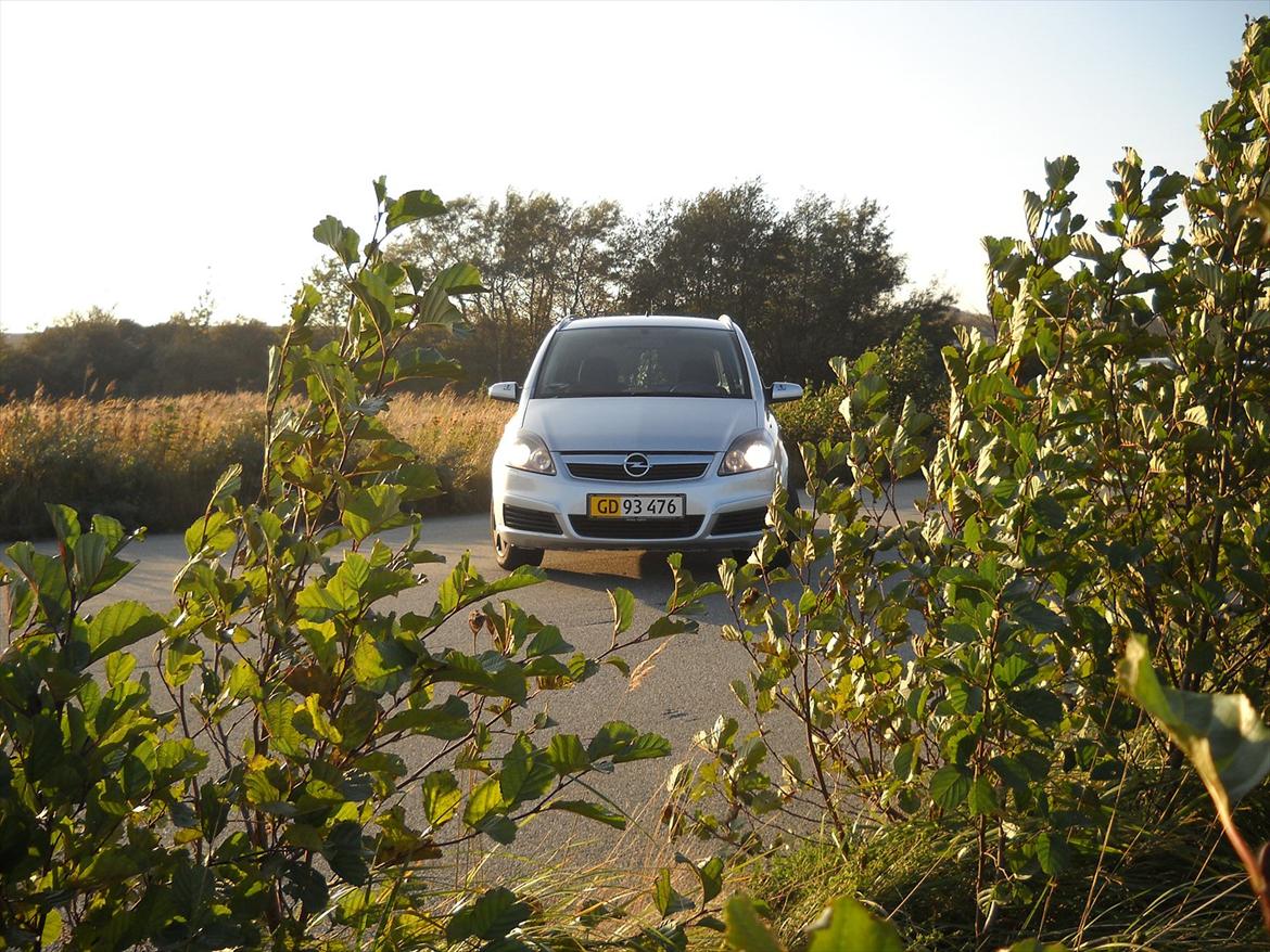 Opel Zafira Flexivan billede 8