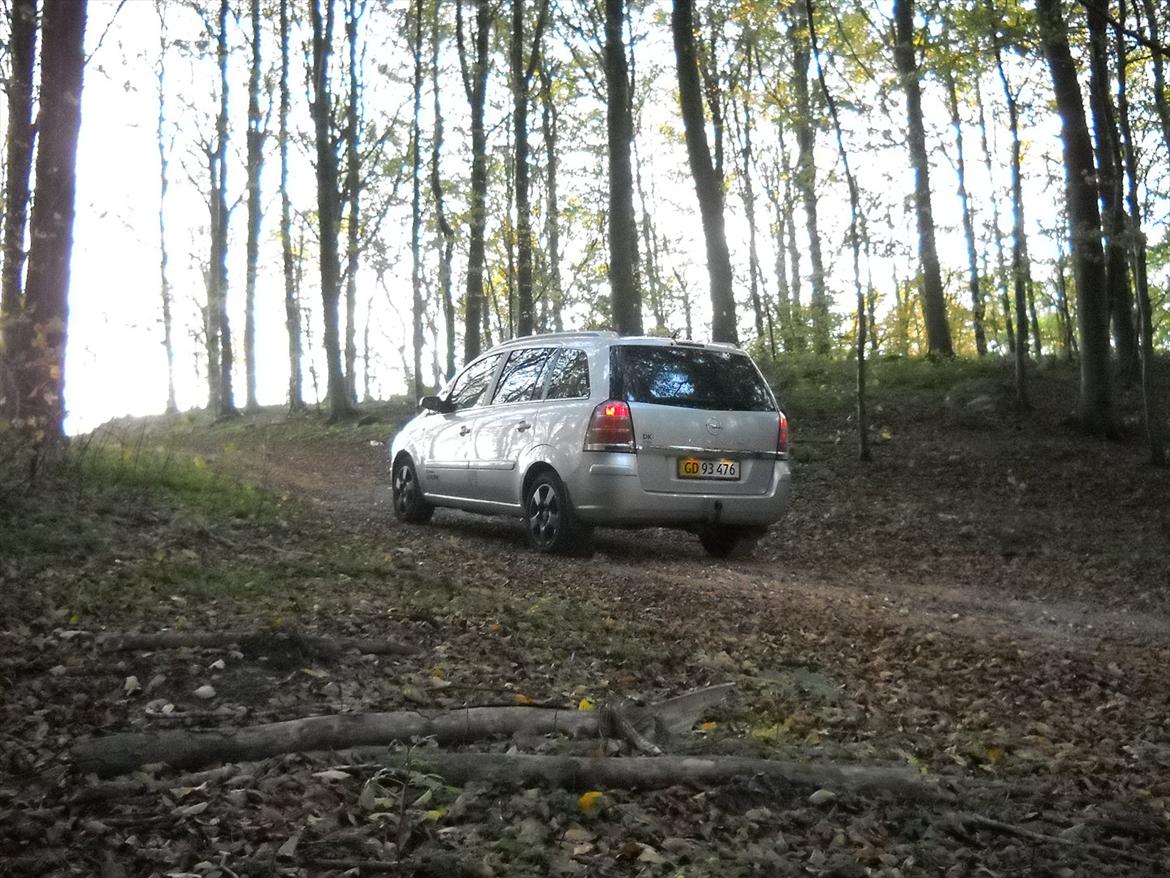 Opel Zafira Flexivan billede 13