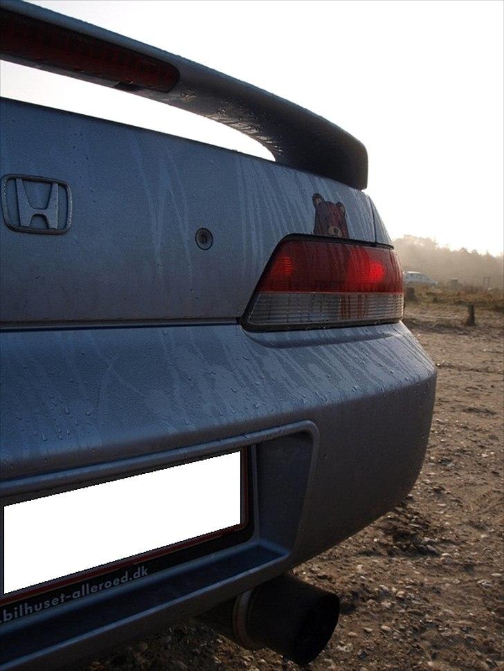 Honda Prelude BB6 2,2 Vti Pedo (solgt) billede 6