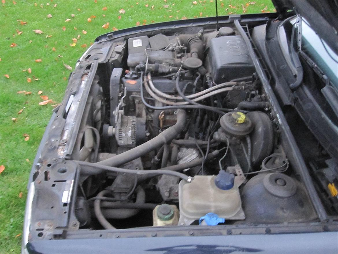 Audi Audi 80 ( Solgt ) billede 16