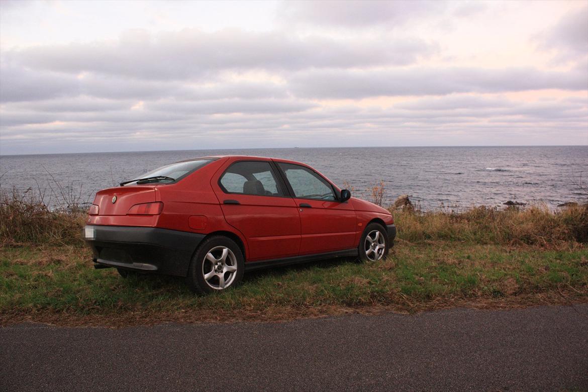 Alfa Romeo 146 billede 2