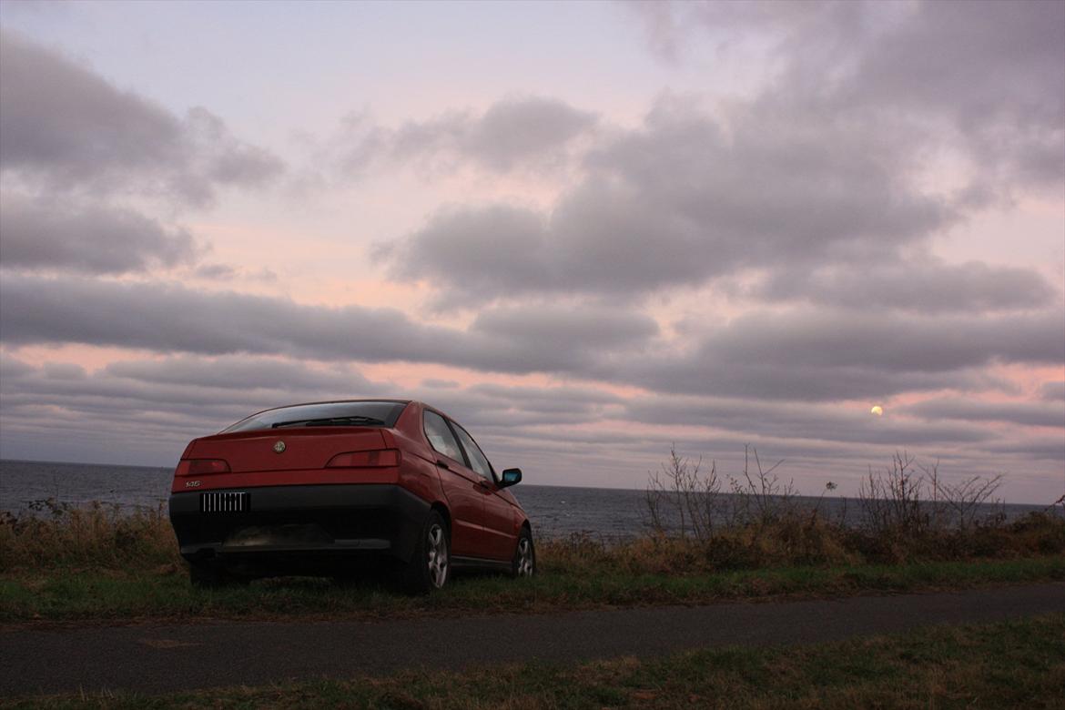 Alfa Romeo 146 billede 3