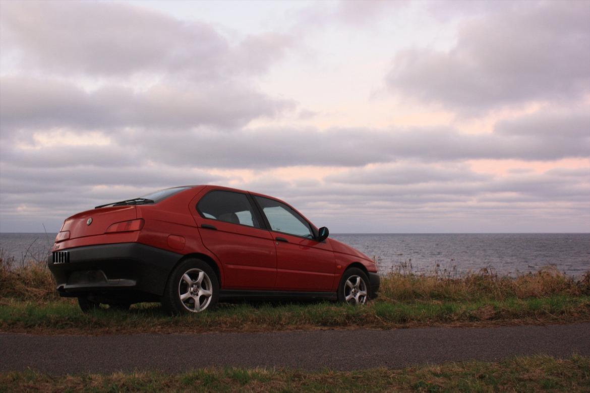 Alfa Romeo 146 billede 4