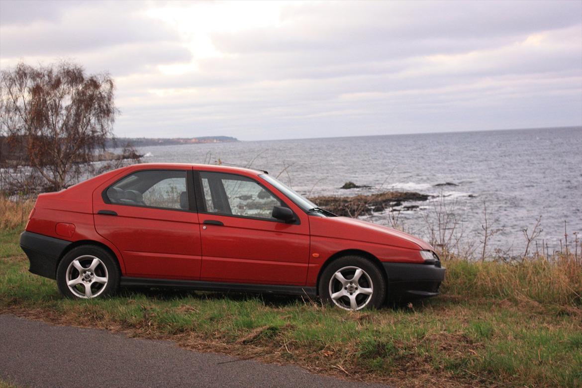 Alfa Romeo 146 billede 5
