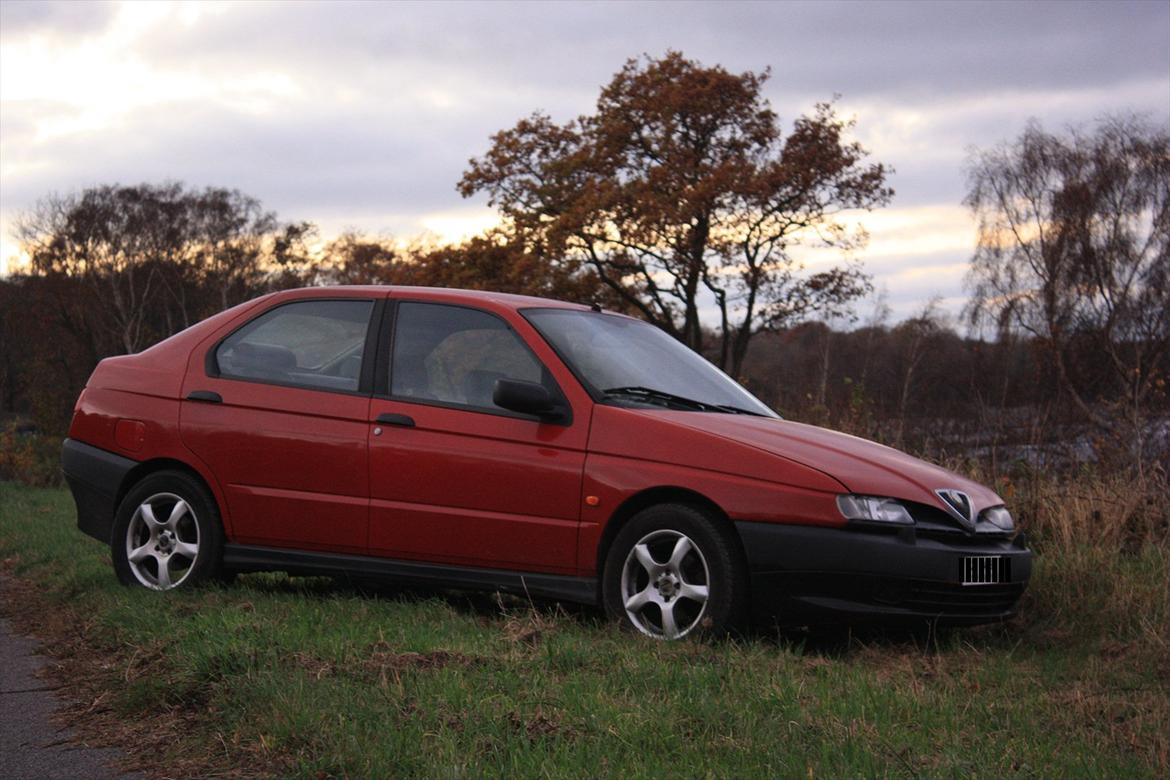 Alfa Romeo 146 billede 6