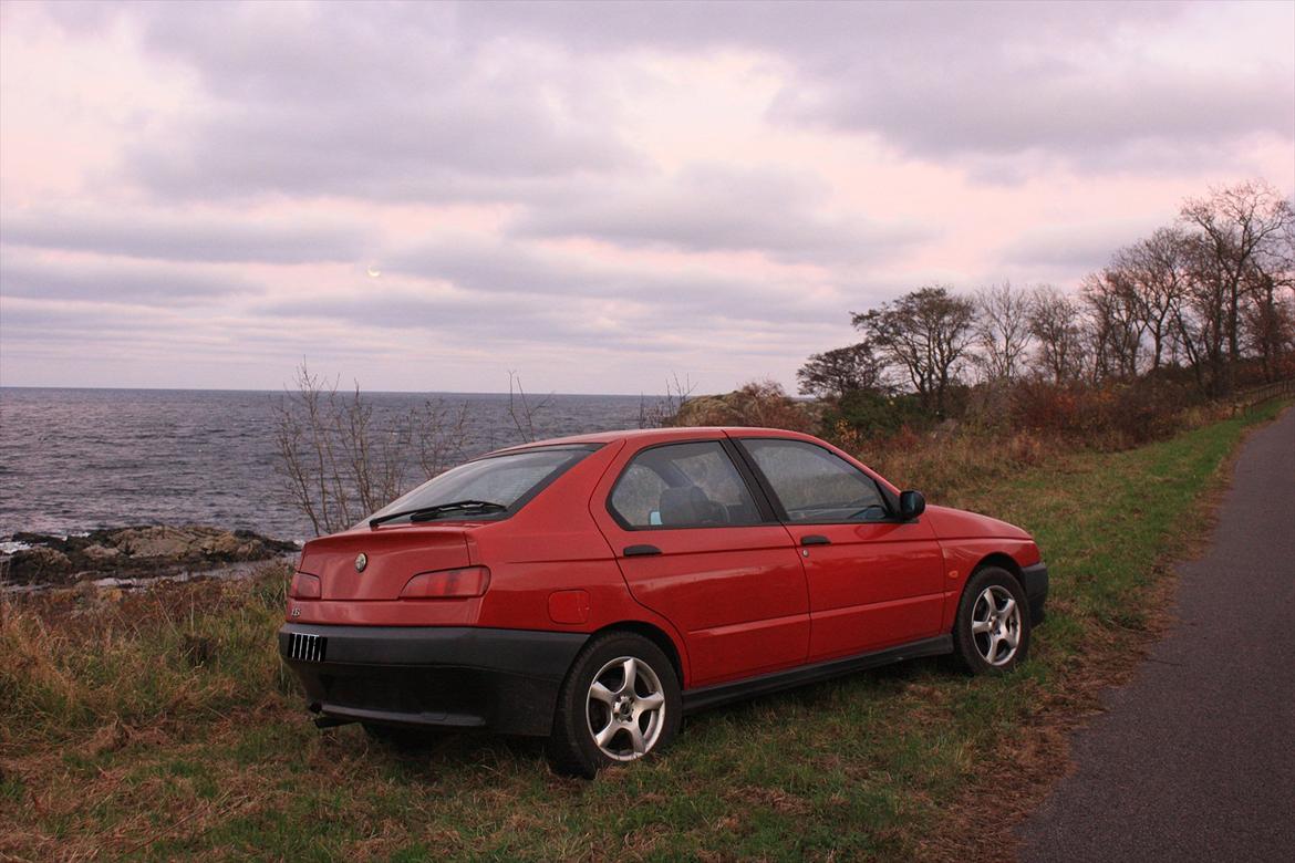 Alfa Romeo 146 billede 8