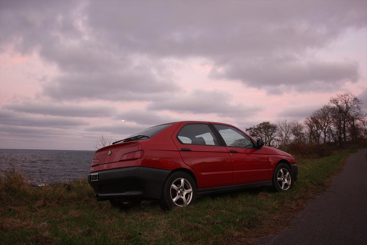 Alfa Romeo 146 billede 9