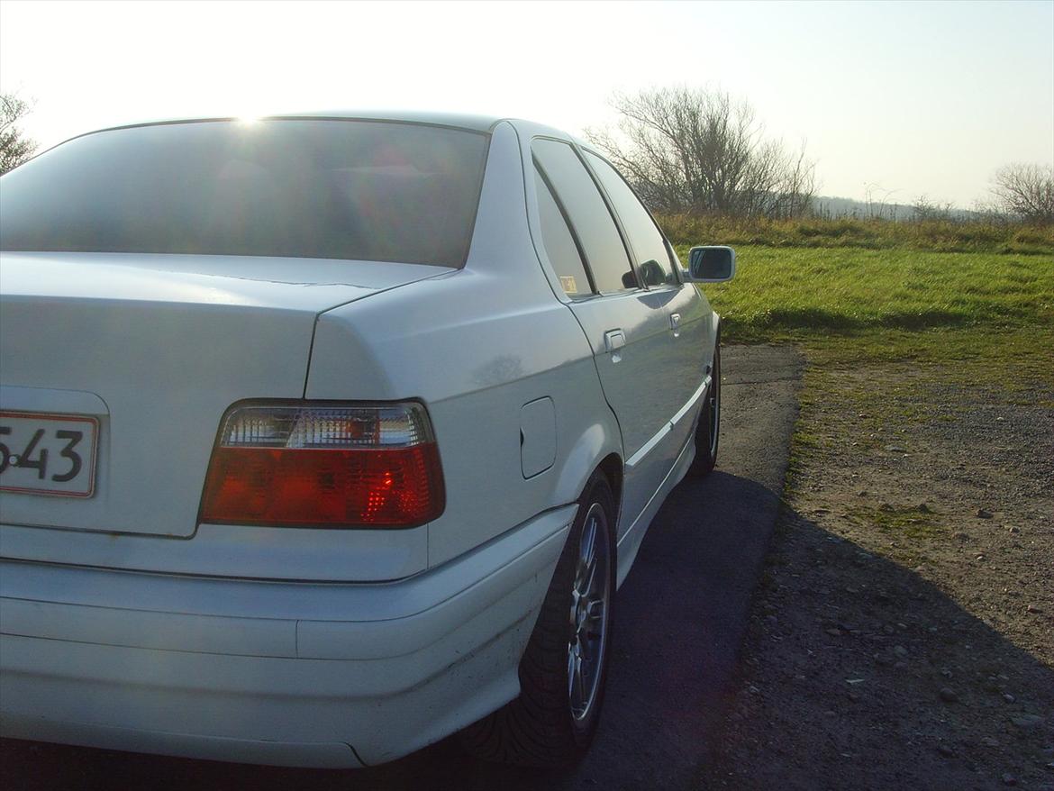 BMW e36 316i billede 7