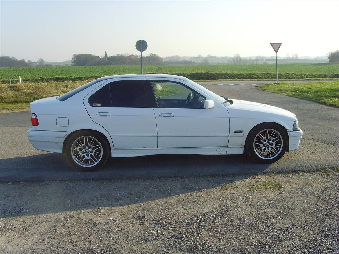 BMW e36 316i billede 8