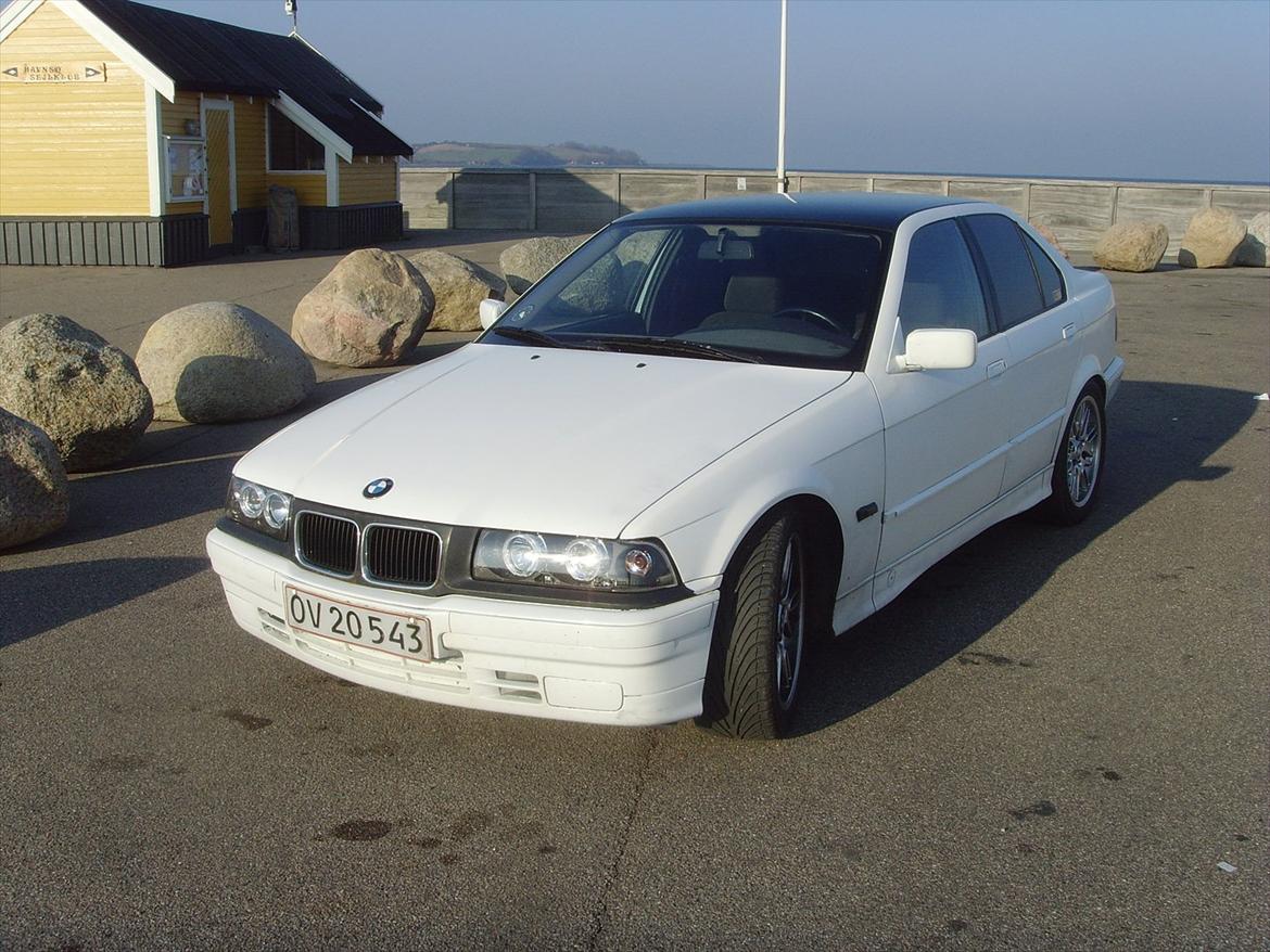 BMW e36 316i billede 10