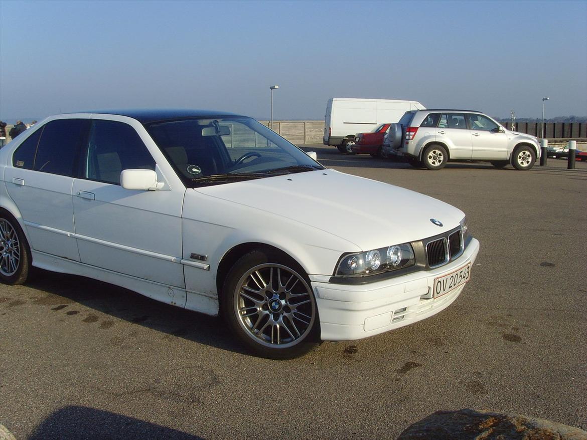 BMW e36 316i billede 11