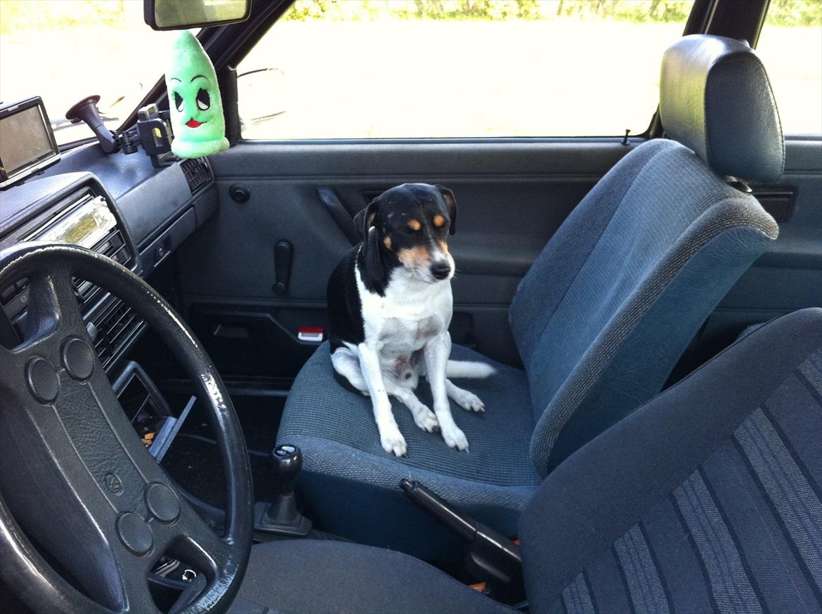 VW golf 2 - guffe indeni med harry billede 7