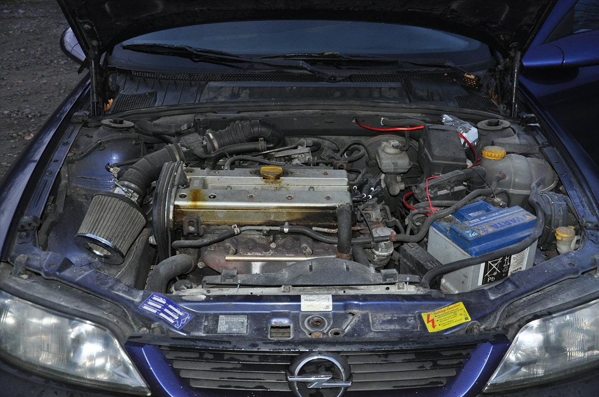 Opel Vectra B billede 14