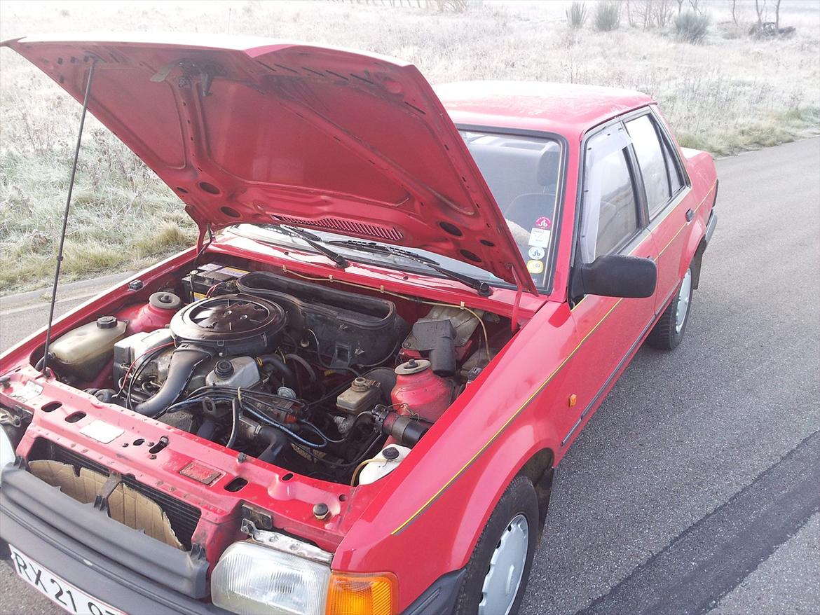 Ford Orion  billede 6