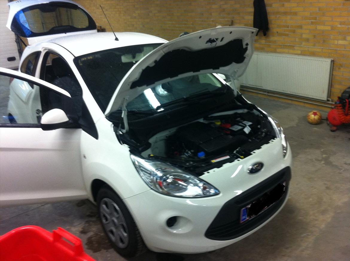 Ford Ka 1,2 Brændt :'( billede 8