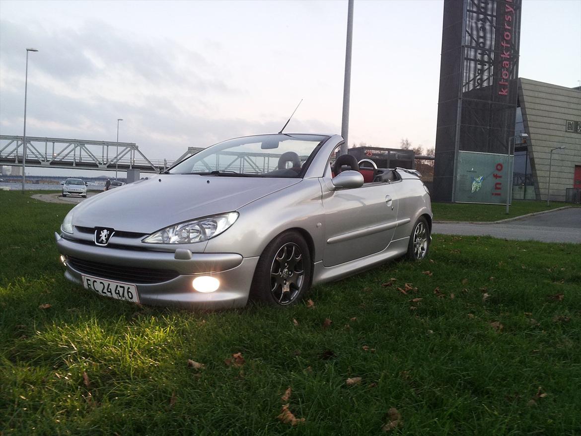 Peugeot 206 CC billede 1