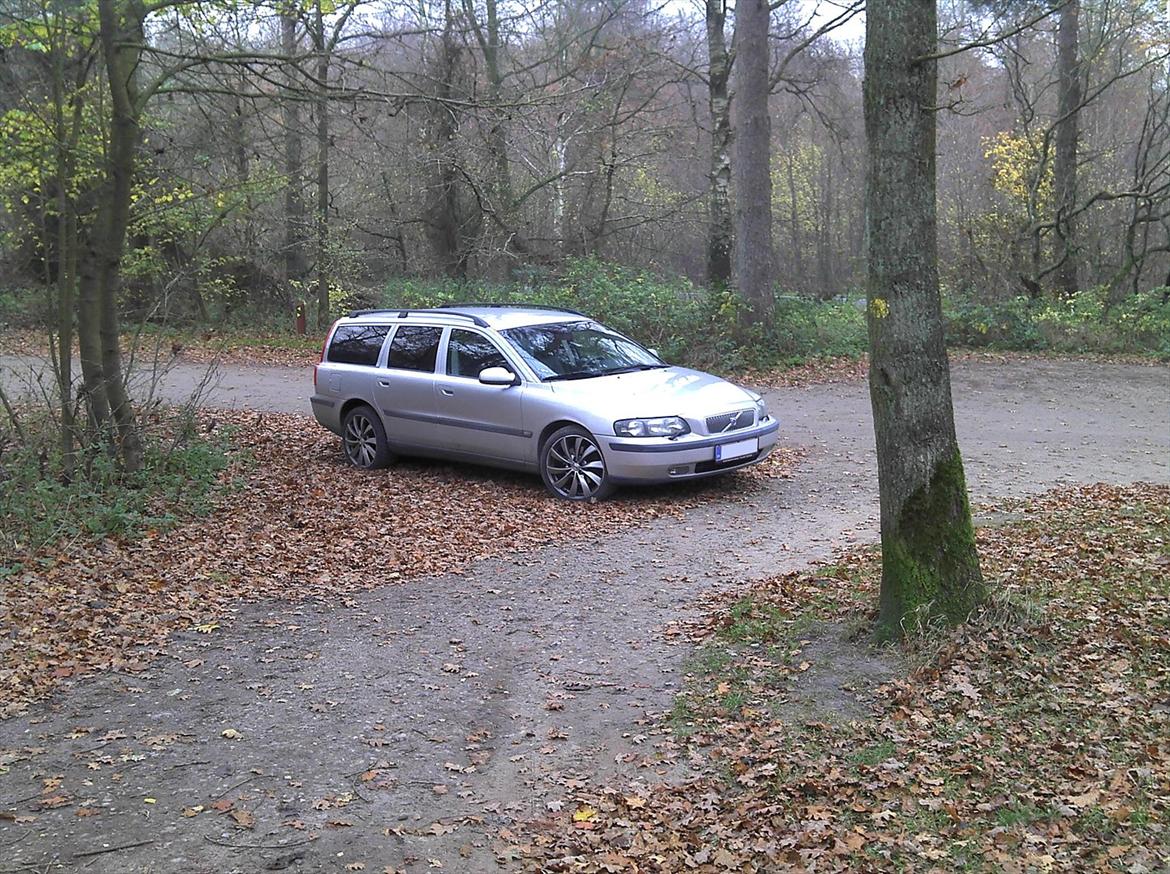 Volvo V70 - Shot i skoven billede 16