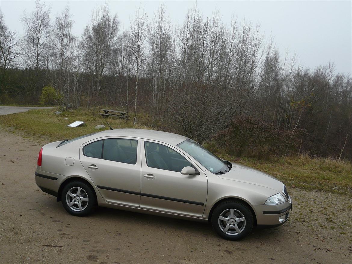 Skoda Octavia II Ambiente ( SOLGT ) billede 7
