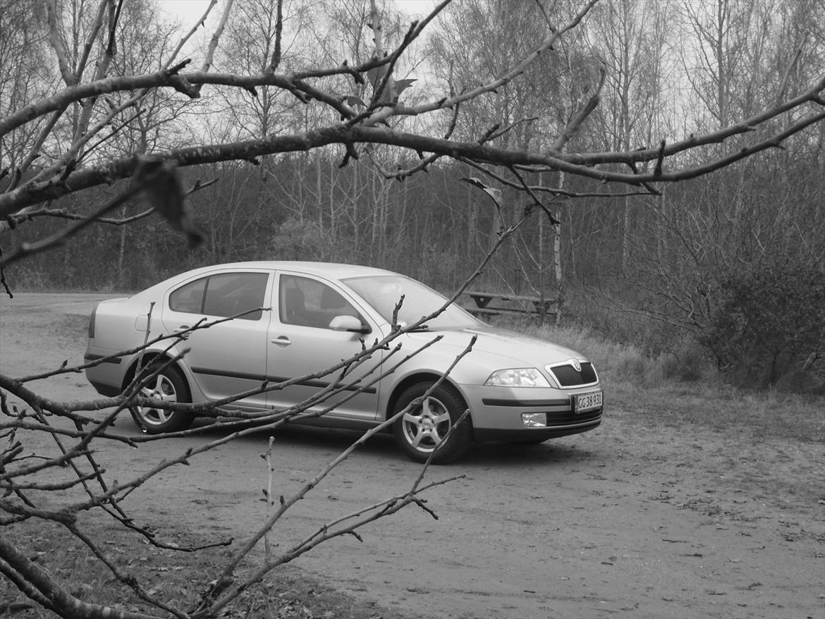 Skoda Octavia II Ambiente ( SOLGT ) billede 15