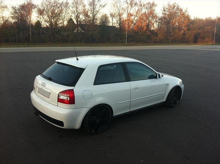 Audi A3 billede 5