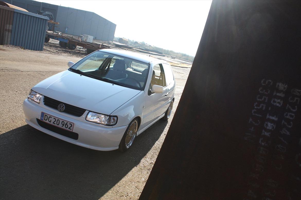 VW Polo 6N T.i.l.s.a.l.g. billede 6