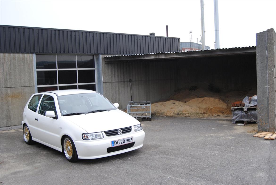 VW Polo 6N T.i.l.s.a.l.g. billede 14