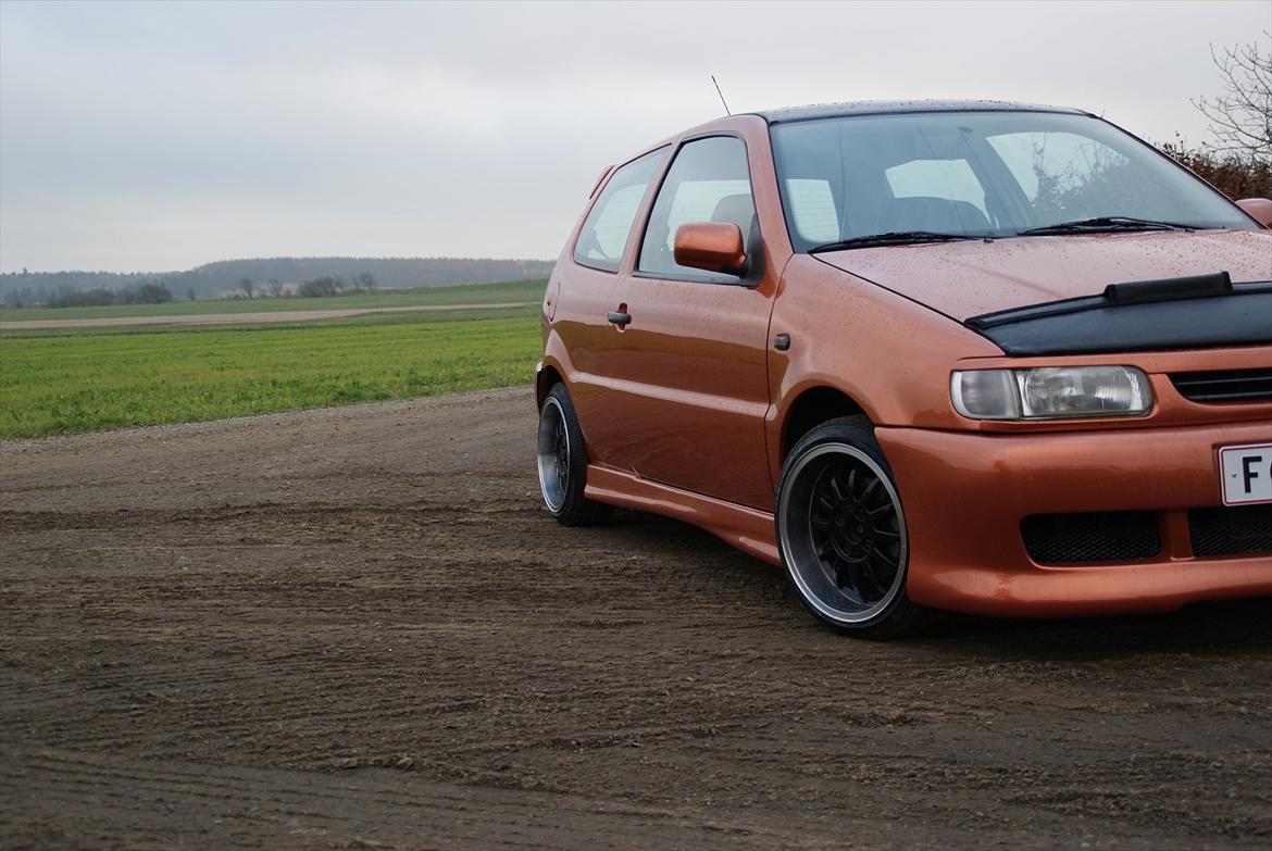 VW polo 6n (Rieger) billede 5