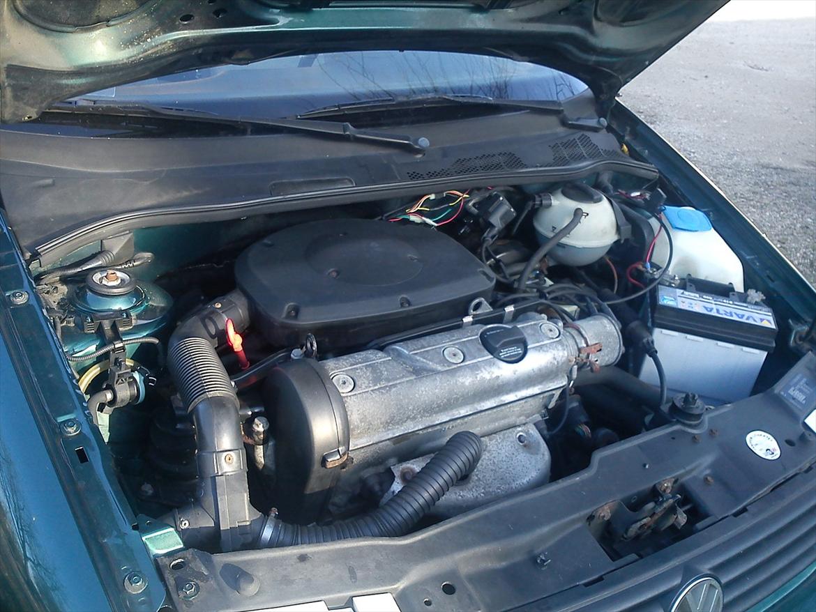 VW Polo 6N billede 7