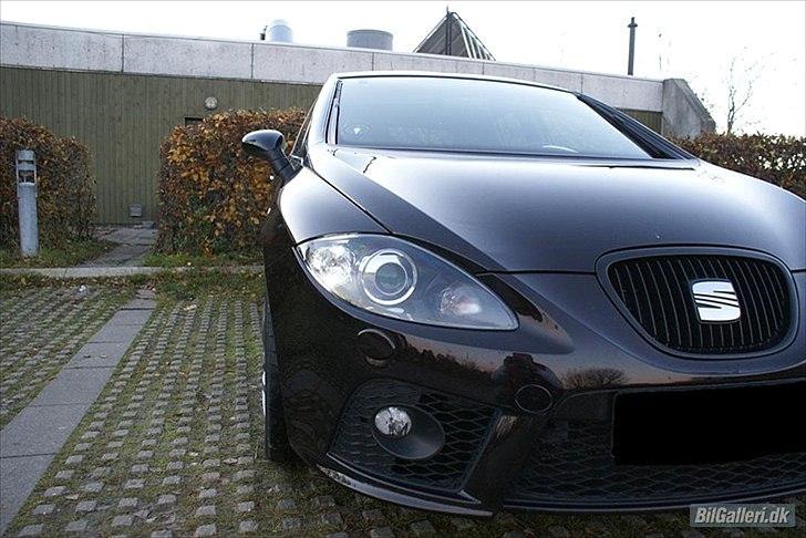 Seat Leon Cupra billede 2