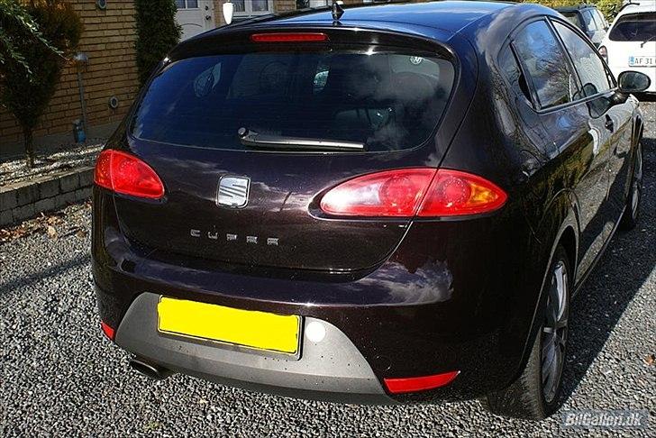 Seat Leon Cupra billede 5