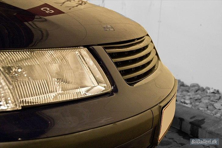 VW Passat 3B - Billeder taget af Thomas M - Skovgaard Photo  billede 3