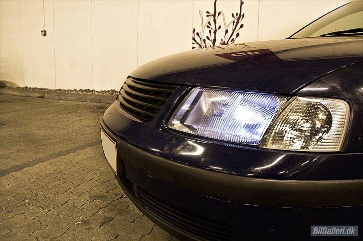 VW Passat 3B - Billeder taget af Thomas M - Skovgaard Photo  billede 8