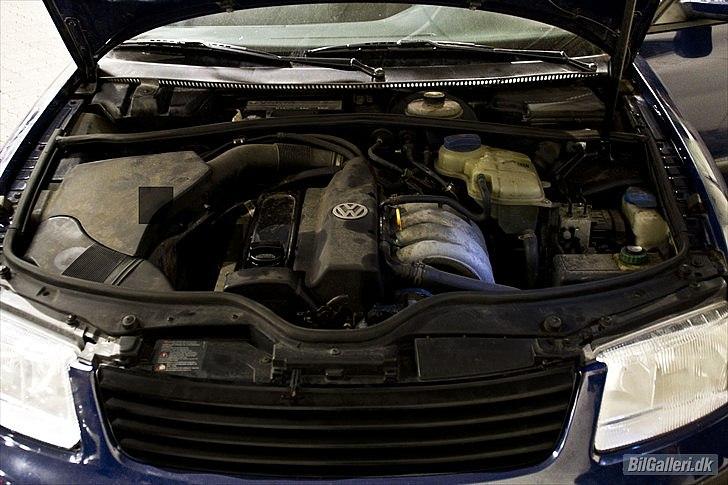 VW Passat 3B - Billeder taget af Thomas M - Skovgaard Photo  billede 16