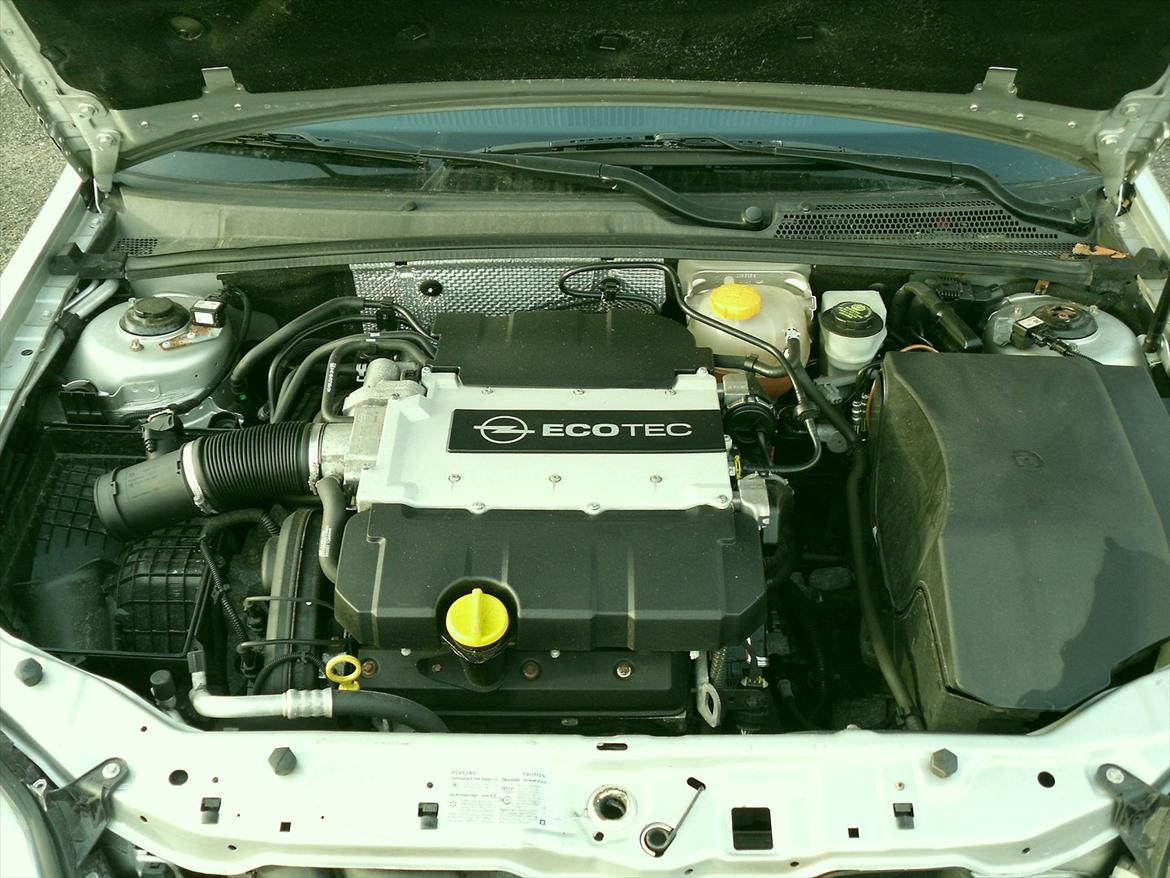 Opel Vectra 3.2 v6 Opel.Lowrider.Club  - nyt 29/11/2011 billede 8