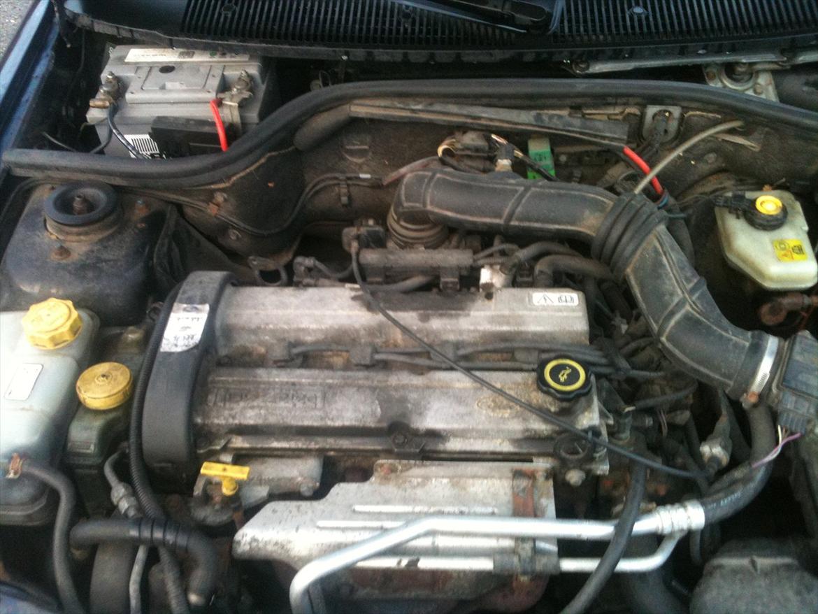 Ford Escort Tuscany stc sold billede 17