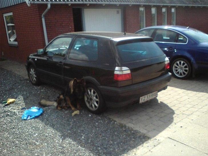 VW Golf 3 GTI - Som den så ud da jeg hentede den. billede 8