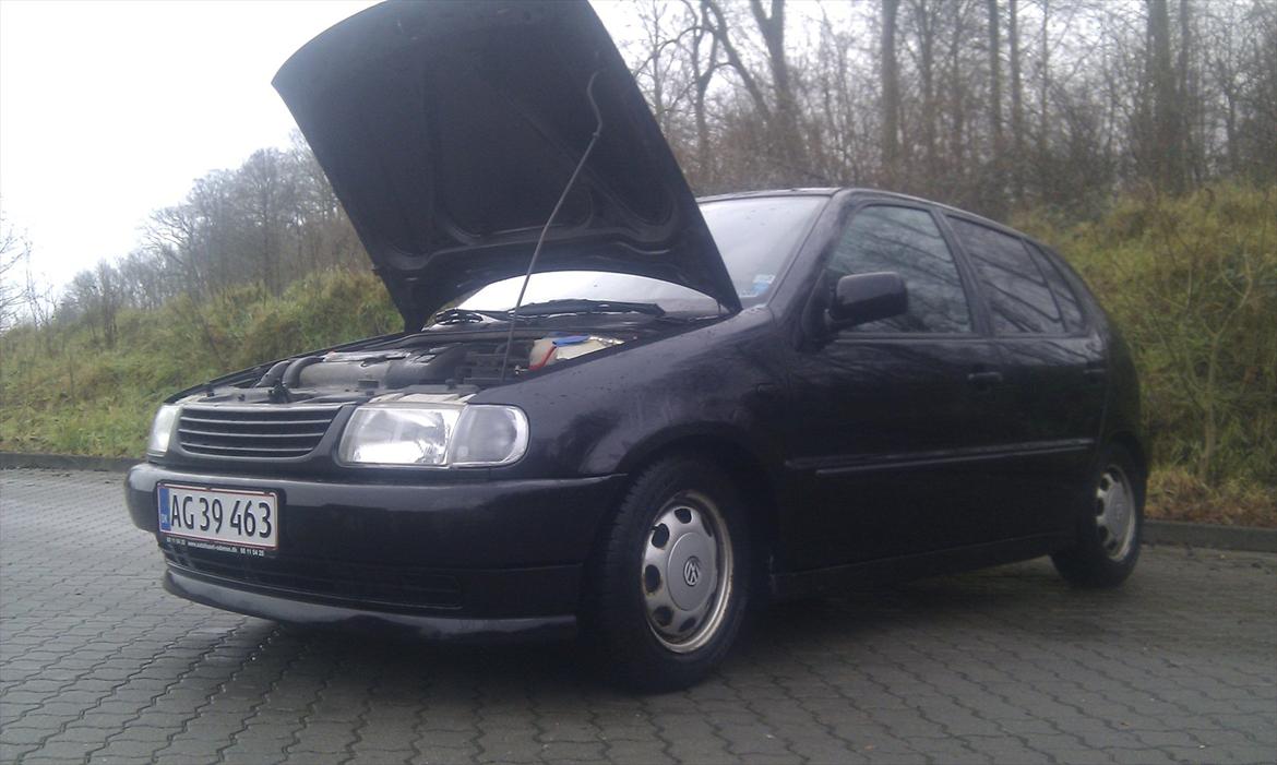VW Polo 6N billede 10