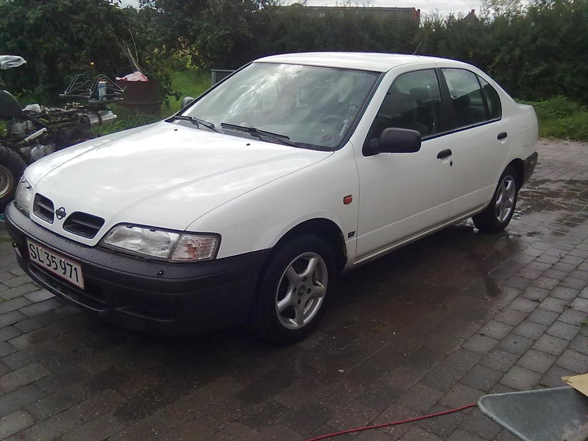 Nissan primera SOLGT - fronten,desværer med kofangeren i sort,mangker nogen hvide,nogen der har nogen i hvide ? lygte viskerne er skåret af med vinkelsliber af forrige ejer.
jeg har så efterfølgende fjernet de "grimme" visker stop. billede 1