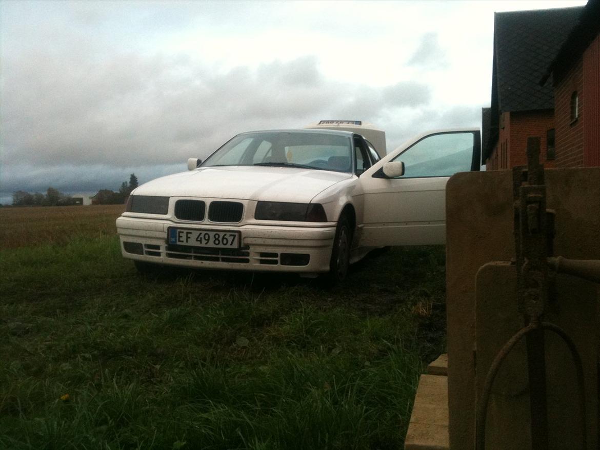 BMW E36 318i billede 8