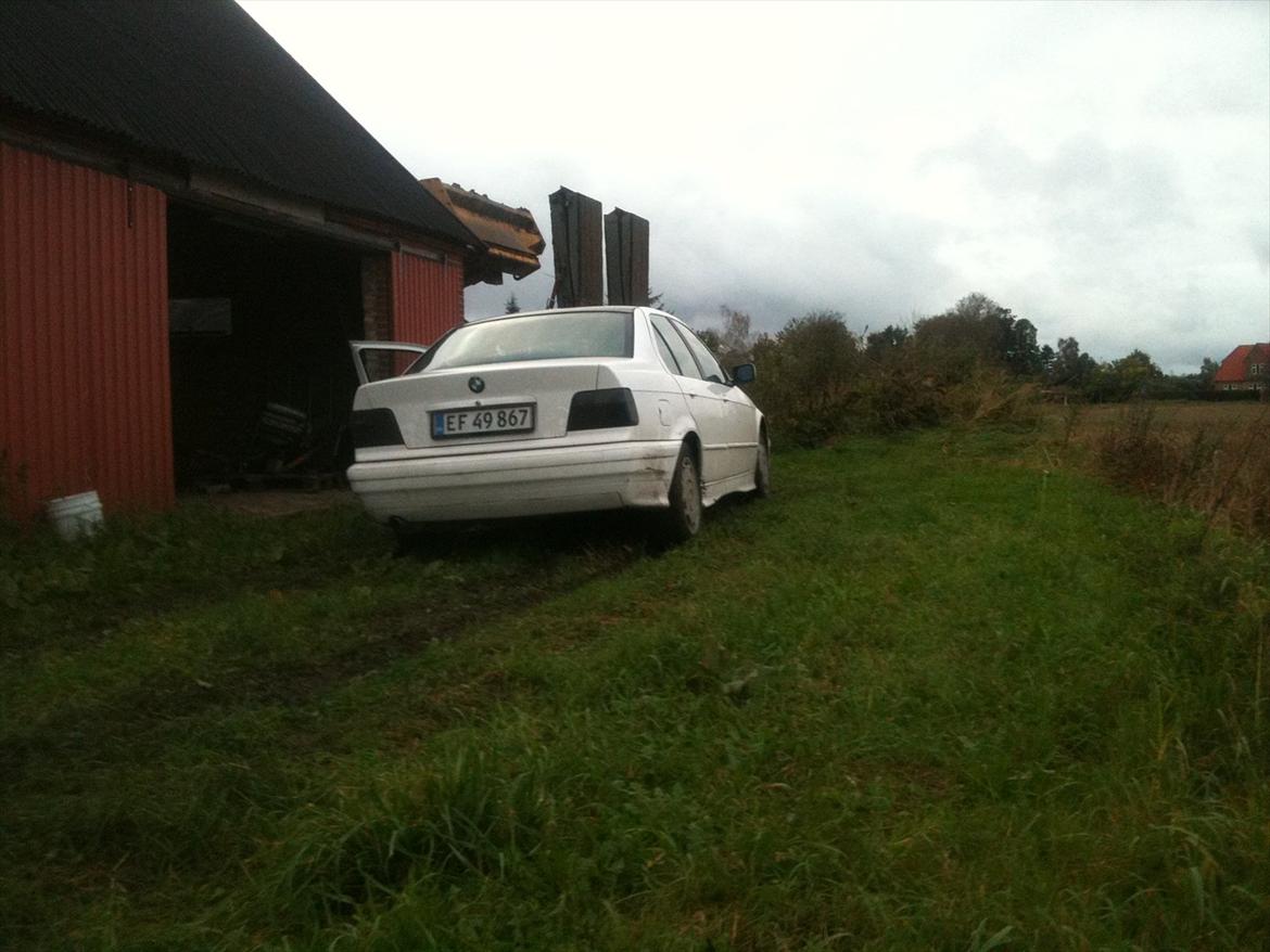BMW E36 318i billede 10