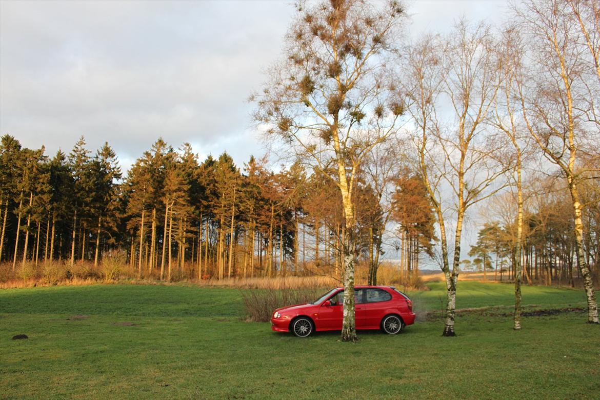 Toyota Corolla G6R billede 12