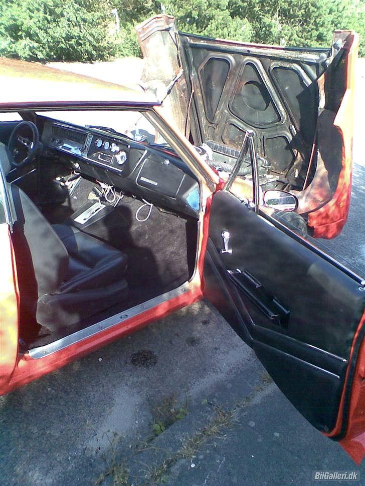 Buick Skylark billede 14