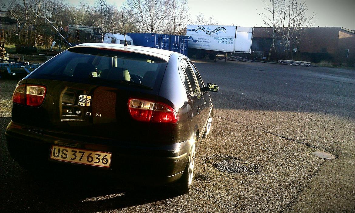 Seat Leon TDI Signo billede 5