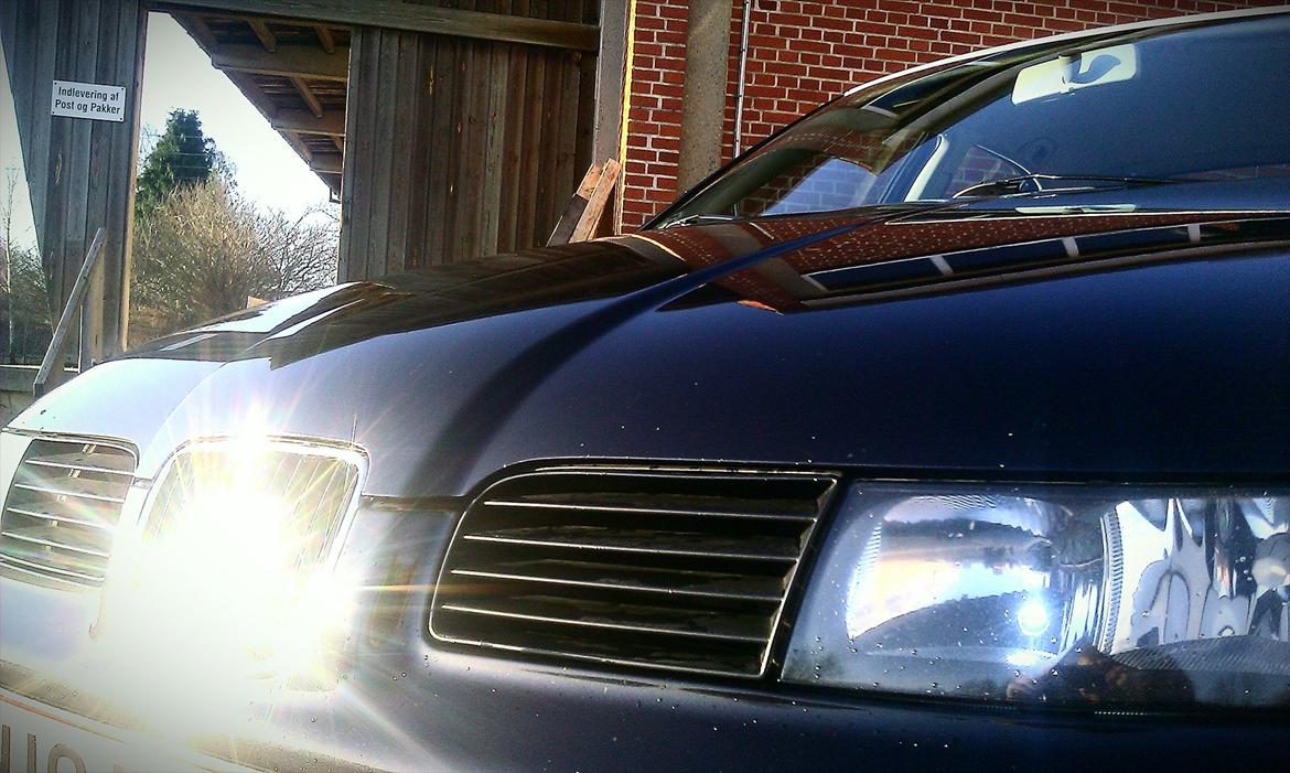 Seat Leon TDI Signo billede 7