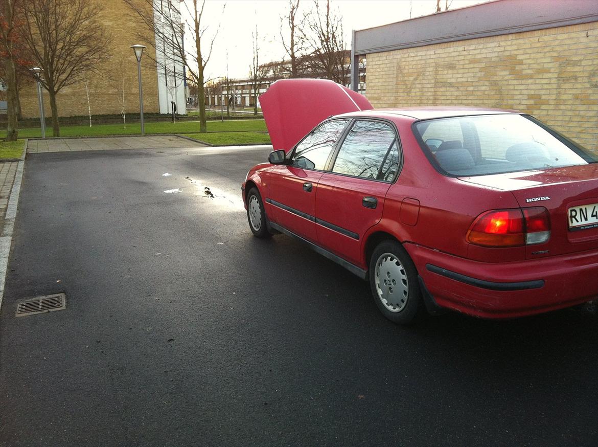 Honda civic ls  billede 5