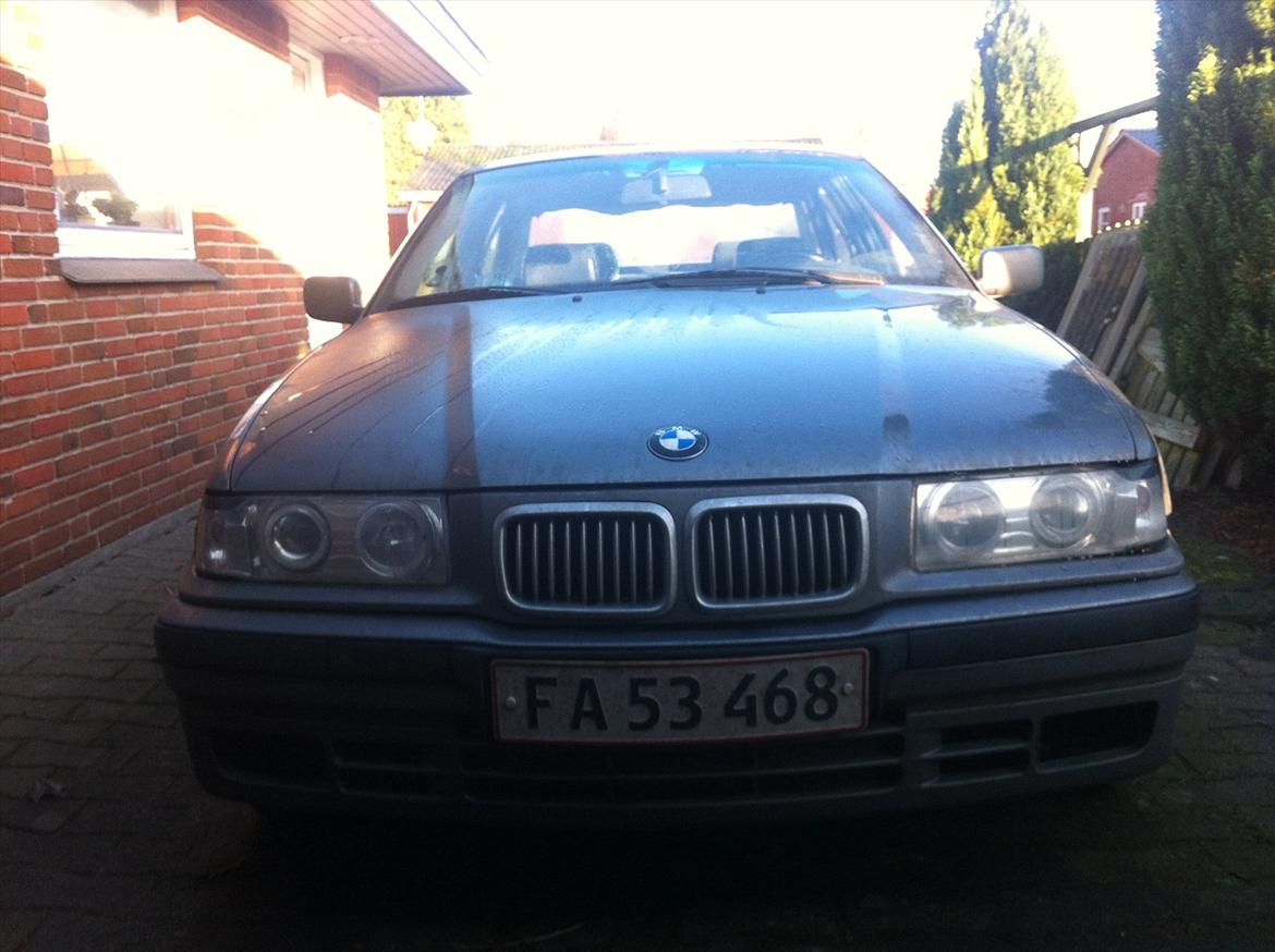 BMW E36 billede 1