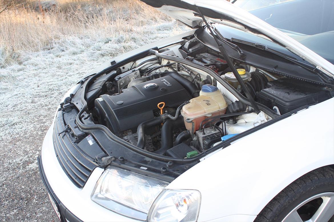 VW passat 3B 1.9 TDI variant Stc - Staldplads for de små 90 hypper billede 3