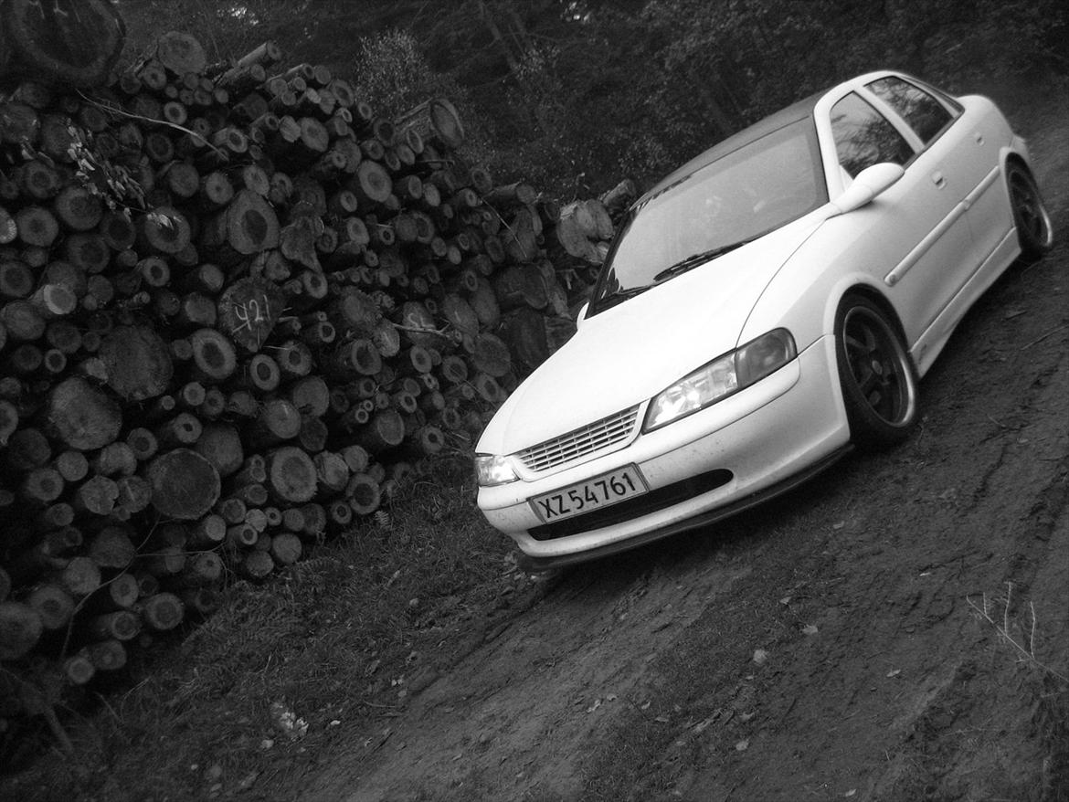 Opel Vectra B billede 1