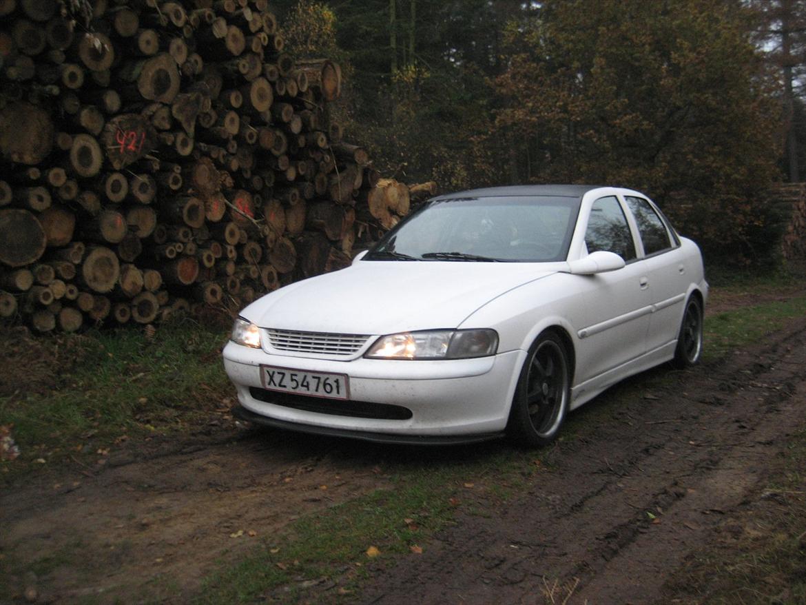 Opel Vectra B billede 2