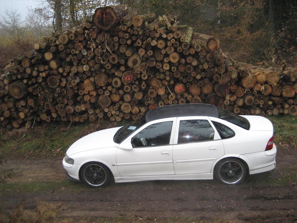 Opel Vectra B billede 5